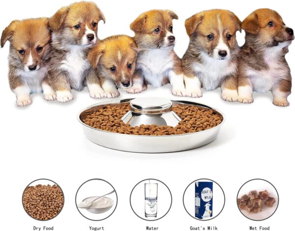 Stainless Steel Puppy Bowls, Set of 2 Puppy Feeder, Dog Food and Water Bowl, Food Feeding Weaning for Small Medium Large Dogs, Pets, M - Image 5