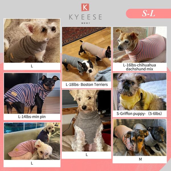 KYEESE 2Pack Dog Coat Turtleneck Stretchy Dog Sweater Super Soft Dog Cold Weather Coat for Small Dogs in Sleeveless Design Dog Fleece Vest, Purple,M - Image 6