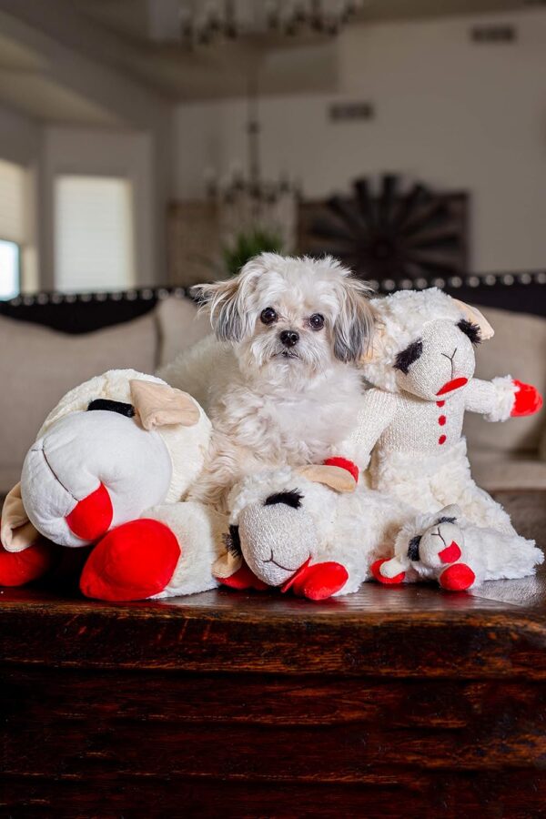 Multipet Plush Dog Toy, Lambchop, 10" Regular, White, Large - Image 6