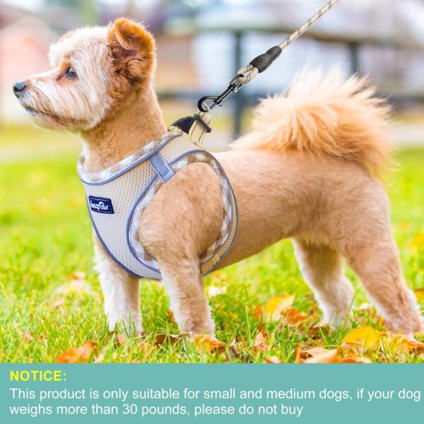 Dog Harness with Leash Set, No Pull Adjustable Reflective Step-in Puppy Harness with Thickened Padded Vest for Extra-Small/Small Medium Dogs - Image 4