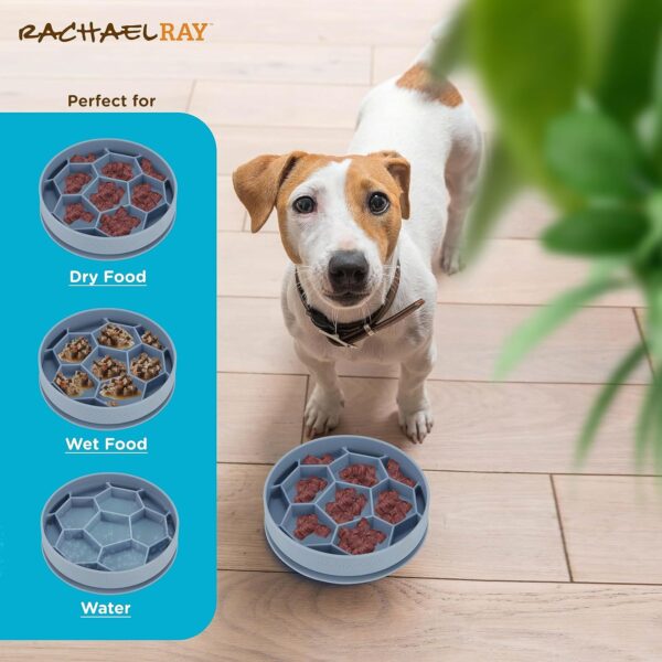 Rachael Ray Slow Feeding Dog Bowl – Slow Feeder Dog Bowls, Silicone Non-Slip Dog Bowls for Small Dogs, Medium Dogs, and Large Dogs, Perfect Dog Feeder, Easy to Clean Dog Food Bowl, Fun Dog Slow Feeder - Image 4