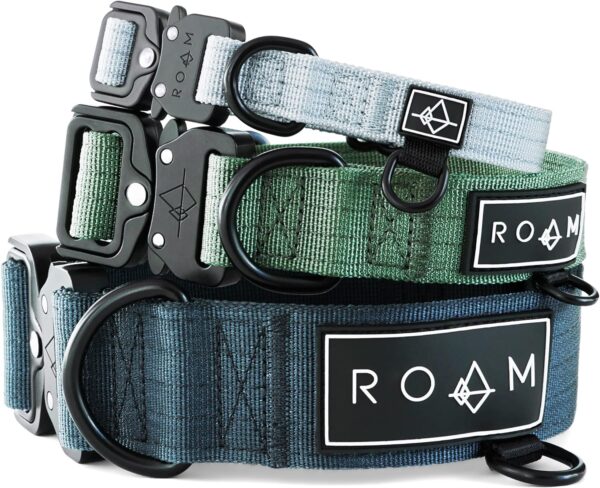 MADE to ROAM Premium Dog Collar - Adjustable Heavy Duty Nylon Collar with Quick-Release Metal Buckle (Colorado Nightsky, Size 4)