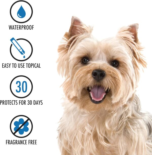 Ultra Flea And Tick Prevention For Dogs - Dog and Puppy Treatment and Control - Mosquito Repellent - Small, Fast Acting Waterproof Topical Drops, 4 Month Supply - Image 5