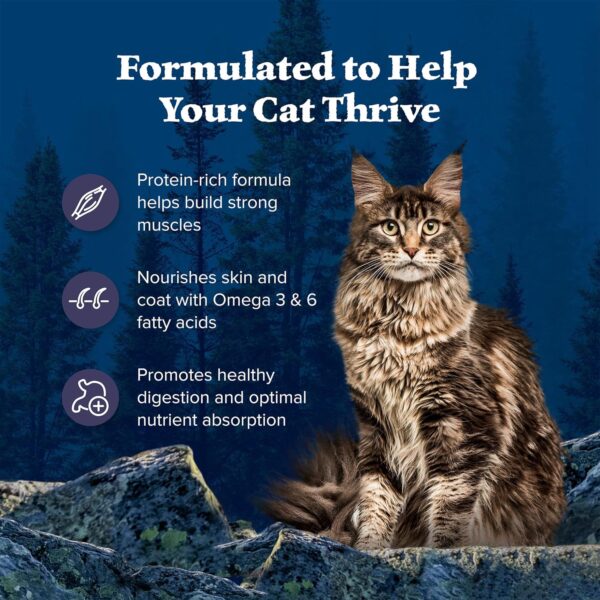 Blue Buffalo Wilderness Natural Adult Dry Cat Food, High-Protein and Grain-Free Diet, Supports Healthy Muscle Development and a Healthy Immune System, Chicken, 12-lb. Bag - Image 4