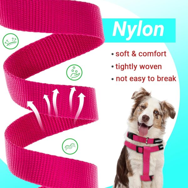 No Pull Dog Harness - Step in Dog Harness and Leash for Small Medium Large Dog - Escape Proof Adjustable Soft Dog Harness Leash Collar Set for Walking Training Hiking Outdoor - Image 5