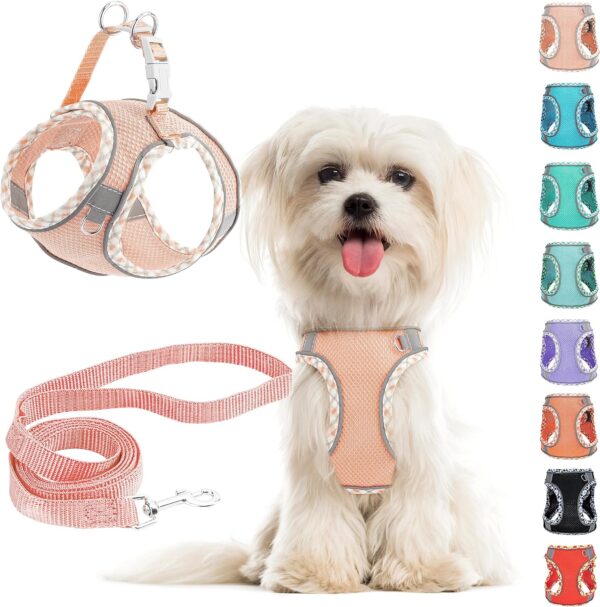 Small Dog Harness and Leash Set, No Pull Adjustable Reflective Breathable Mesh Step in Dog Harness Easy Walk Dog Harness for Extra Small/Small Medium Dog Cats Puppy Outdoor Hiking Training (Pink XXS)