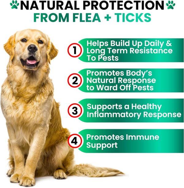 Flea and Tick Prevention for Dogs Chewables - Made in USA - Natural Flea and Tick Chews Supplement for Dogs - Oral Flea Pills for Dogs - Pest Defense - All Breeds and Ages - 120 Soft Tablets - Image 4