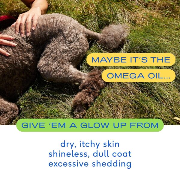 Native Pet Omega 3 Fish Oil for Dogs - Made with Wild Alaskan Salmon Oil with Omega 3 EPA DHA - Supports Itchy Skin + Mobility - Liquid Pump is Easy to Serve - a Fish Oil Dogs Love! (8 oz) - Image 3