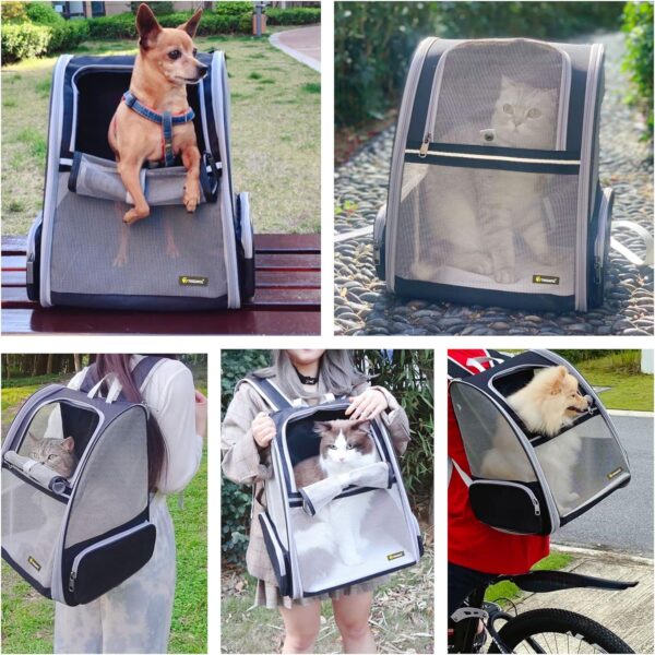 Texsens Innovative Traveler Bubble Backpack Pet Carriers for Cats and Dogs (Black) - Image 6