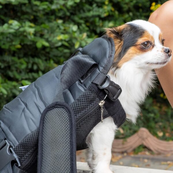 Mr. Pen- Pet Adjustable Dog Carrier Backpacks, Hiking Travel Backpack, Puppy Backpack, Dog Front Carrier - Image 7