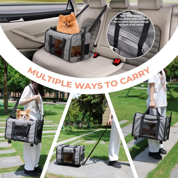 COOLBEBE Cat Dog Carrier with Upgraded Wheel, Collapsible Airline Approved Pet Carriers for Small Dogs and Cats,Soft Animal Travel Carrier Bag for Flight Outdoor Camping (Grey) - Image 3