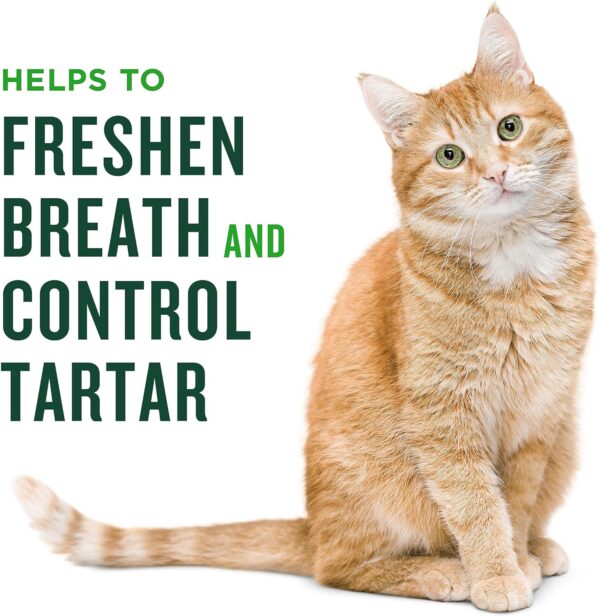 Minties Dental Treats for Cats, (Chicken/Salmon) Flavored Treats for Cats, Freshens Breath and Controls Tartar, 2.5oz - Image 3