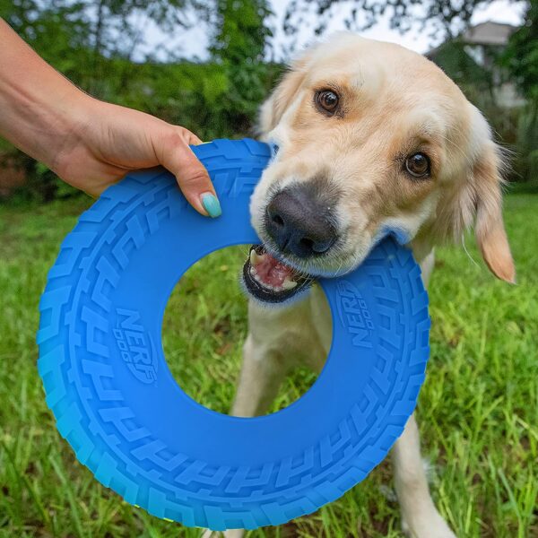 Nerf Dog Rubber Tire Flyer Dog Toy, Flying Disc, Lightweight, Durable, Floats in Water, Great for Beach and Pool, 10 Inch Diameter, for Medium/Large Breeds, Single Unit, Blue, Original - Image 2