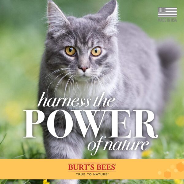 Burt's Bees for Pets Cat Natural Dander Reducing Wipes | Kitten and Cat Wipes for Grooming, 50 Count | Cruelty Free, Sulfate & Paraben Free, pH Balanced for Cats - Made in the USA - Image 6