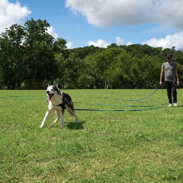 Hi Kiss Dog/Puppy Obedience Recall Training Agility Lead - 15ft 20ft 30ft 50ft 100ft Training Leash - Great for Play, Camping, or Backyard - Black 30ft - Image 6