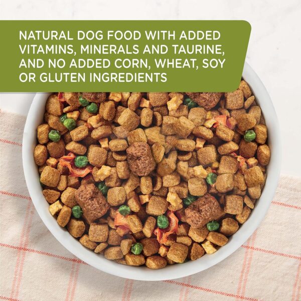 Rachael Ray Nutrish Dish Premium Natural Dry Dog Food with Added Vitamins, Minerals & Taurine, Chicken & Brown Rice Recipe with Veggies & Fruit, 11.5 Pound Bag - Image 5