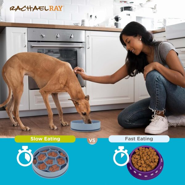 Rachael Ray Slow Feeding Dog Bowl – Slow Feeder Dog Bowls, Silicone Non-Slip Dog Bowls for Small Dogs, Medium Dogs, and Large Dogs, Perfect Dog Feeder, Easy to Clean Dog Food Bowl, Fun Dog Slow Feeder - Image 3