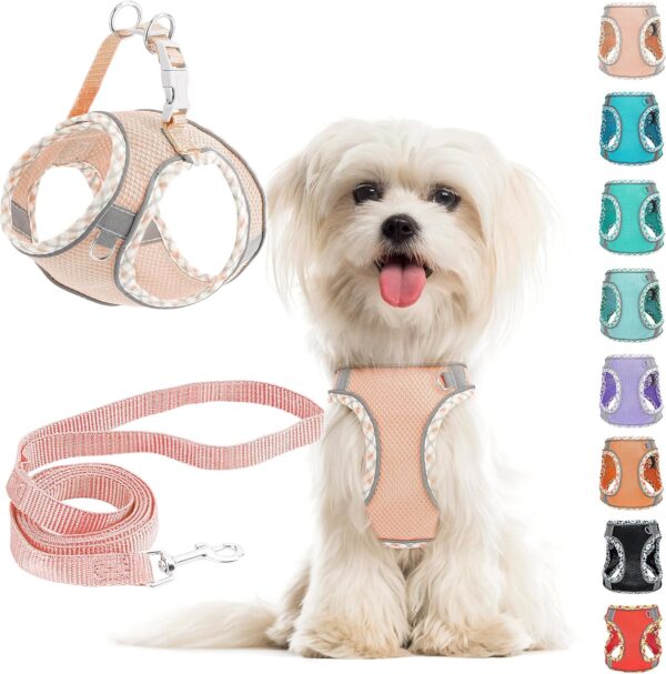 Small Dog Harness and Leash Set, No Pull Adjustable Reflective Breathable Mesh Step in Dog Harness Easy Walk Dog Harness for Extra Small/Small Medium Dog Cats Puppy Outdoor Hiking Training (Pink XXS) - Image 7