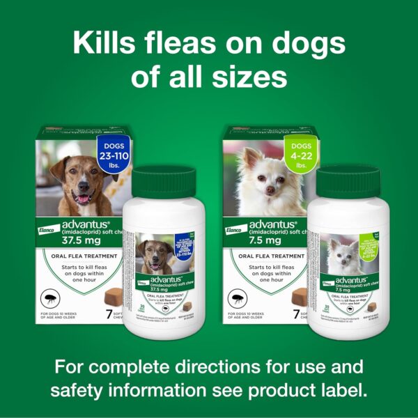 Dog Advantus Chewable Flea Treatment for Dogs 4 - 22 lbs. | 7 ct. - Image 9