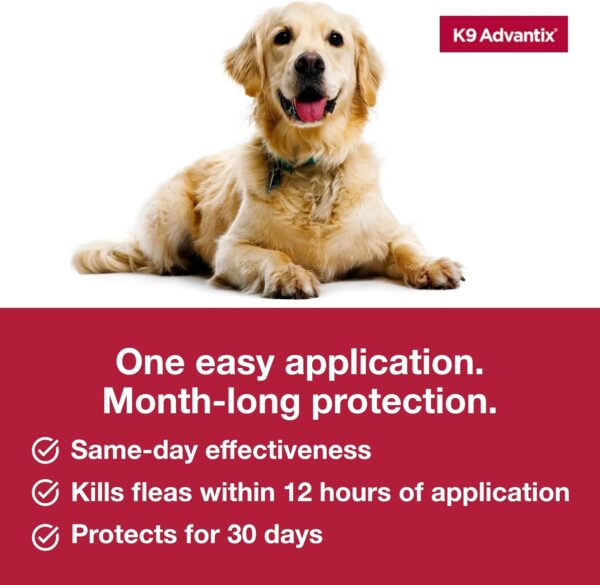 K9 Advantix Flea, Tick & Mosquito Prevention for Dogs 21-55 lbs. | Flea Drops for Large Dogs | Apply Monthly | 2 Treatments - Image 6