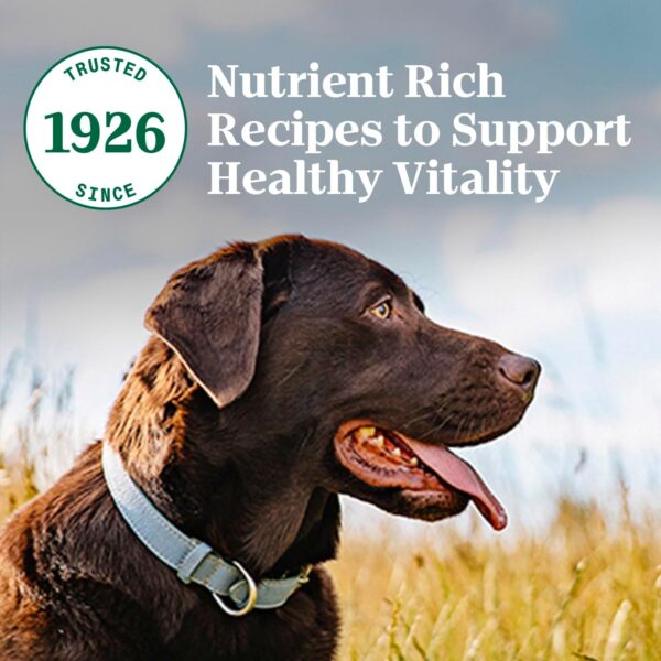 Nutro Natural Choice Adult Dry Dog Food, Beef and Brown Rice Recipe, 12 lbs. - Image 11