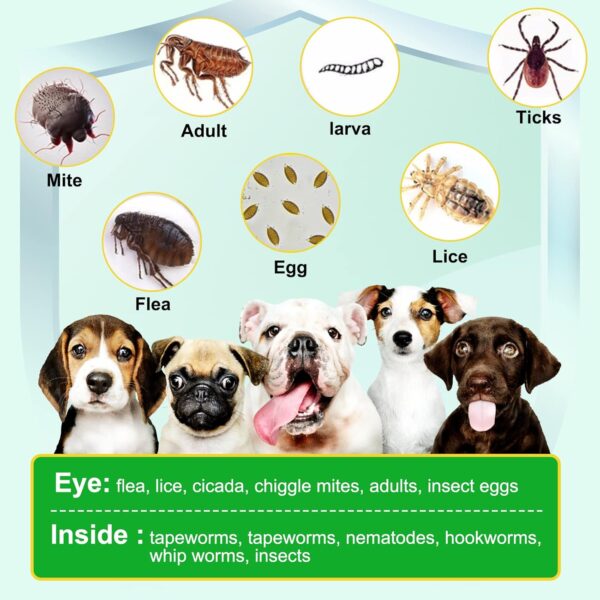 Flea and Tick Prevention for Dogs, 150 Flea & Tick Prevention for Dogs Chewable, Natural Flea and Tick Supplement for Dogs, Oral Flea and Tick Treats for Dogs, Flea and Tick Chews for Dogs,Duck Flavor - Image 3