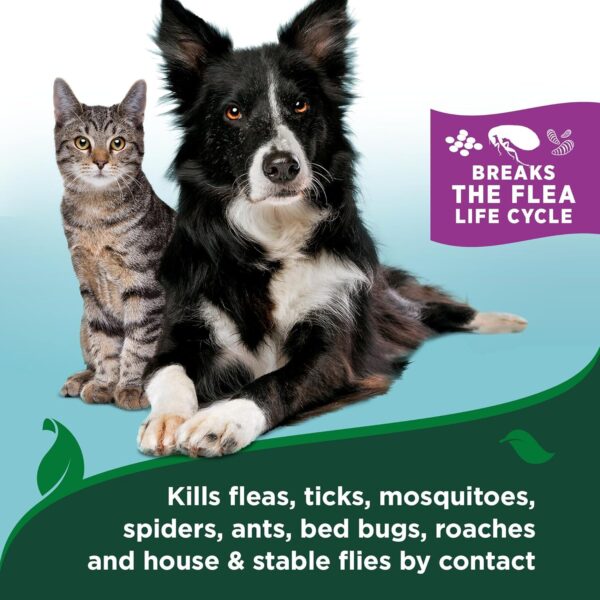 Vet’s Best Flea & Tick Waterless Bath for Cats – Cat Waterless Bath – Cotton Spice Scent – Natural Flea and Tick Prevention – Kills Fleas & Ticks on Contact – 8oz - Image 5