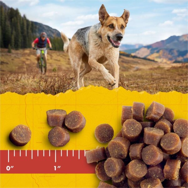 Zuke’s Mini Naturals Soft Chewy Dog Treats For Training Pouch, Natural Treat Bites With Peanut Butter And Oats - 16 oz. Bag - Image 7