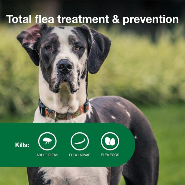 Advantage II XL Dog Vet-Recommended Flea Treatment & Prevention | Dogs Over 55 lbs. | 6-Month Supply - Image 4