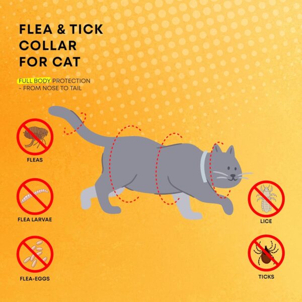 Cat Flea Tick Prevention Collar: Flea Collar for Cats Fleas Repellent Collars - Tick Prevention Collars for Cats Ticks Control for Kitten - 4 Pack 24 Month Protection - Image 3