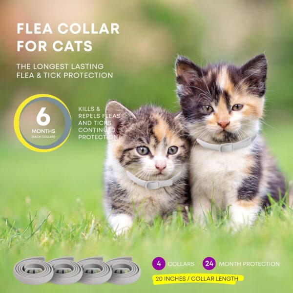 Cat Flea Tick Prevention Collar: Flea Collar for Cats Fleas Repellent Collars - Tick Prevention Collars for Cats Ticks Control for Kitten - 4 Pack 24 Month Protection - Image 4