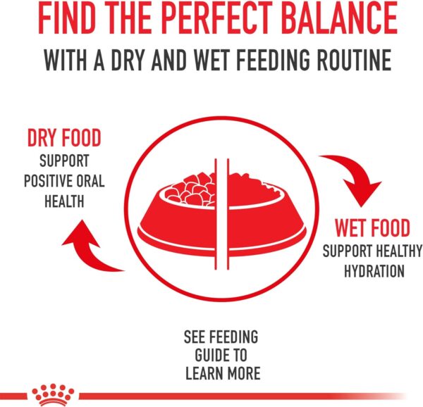 Royal Canin Feline Health Nutrition Sensitive Digestion Cat Food Dry Formula, Balanced Nutrition to Support Digestive Health, 7 lb Bag - Image 9