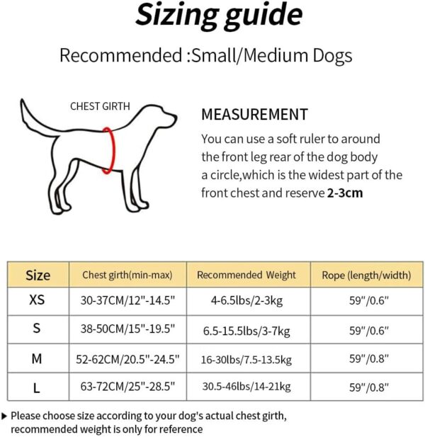 Dog Harness with Leash Set, No Pull Adjustable Step in Dog Collars Harness with Breathable Padded Vest Harness for Small Medium Large Dogs Training and Running(L, Gray) - Image 5