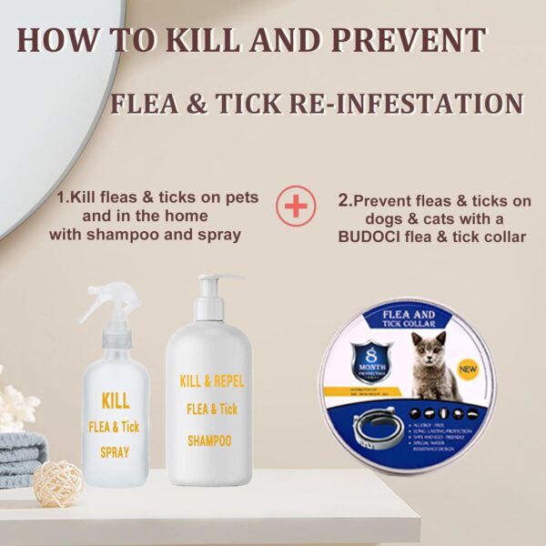 Pet Flea Collar Small Size Flea and Tick Prevention for Cats, 2 Pack Flea and Tick Collar for Cats, 38cm/15 inch, 8 Month Protection - Image 6