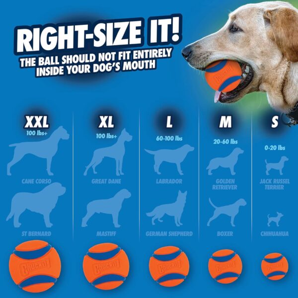 Chuckit Ultra Ball Dog Toy, XL (3.5 Inch Diameter), Pack of 1, for breeds 100+ lbs - Image 6