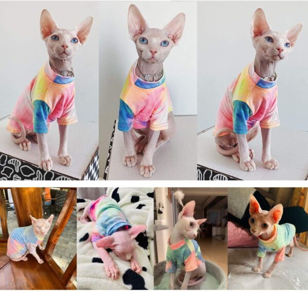 Bonaweite Hairless Cats Rainbow Rendering T-Shirt for Spring Summer Autumn, Breathable Cat Wear Clothes Vest Shirts for Sphynx, Cornish Rex, Devon Rex, Peterbald XS - Image 4