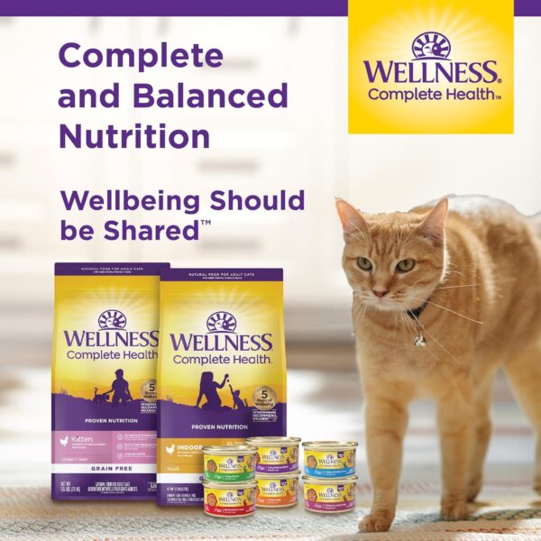 Wellness Complete Health Grain Free Canned Cat Food, Chicken Pate, 3 Ounces (Pack of 24) - Image 8