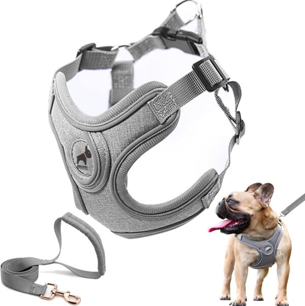 Dog Frenchie Harness with Leash Set, No Pull Adjustable Step in Dog Collars Harness with Breathable Padded Vest Harness for Small Medium Large Dogs Training and Running(M, Gray)