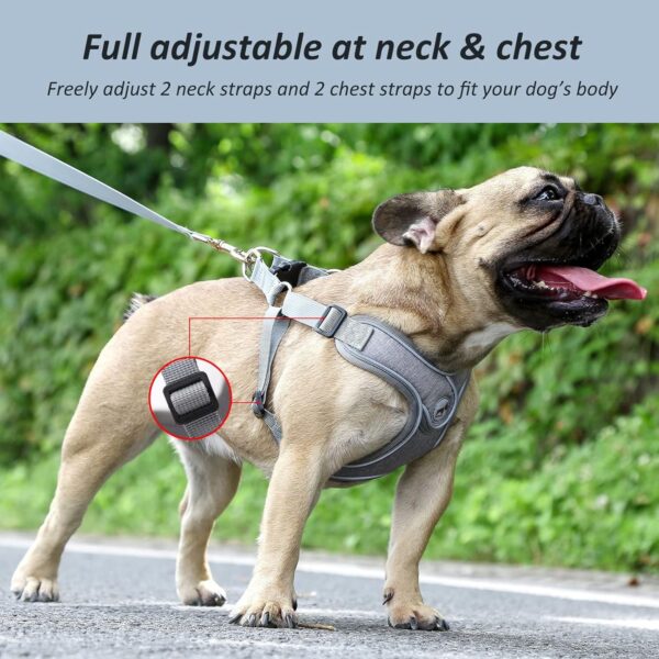 Dog Frenchie Harness with Leash Set, No Pull Adjustable Step in Dog Collars Harness with Breathable Padded Vest Harness for Small Medium Large Dogs Training and Running(M, Gray) - Image 3