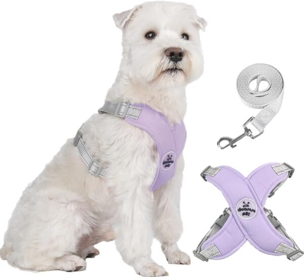 FEimaX Dog Harness Pet X Frame No Pull Step-in Harnesses with Leash Set, Adjustable Reflective Choke Free Puppy with Padded Vest for Small, Medium Dogs and Cats Walking Training