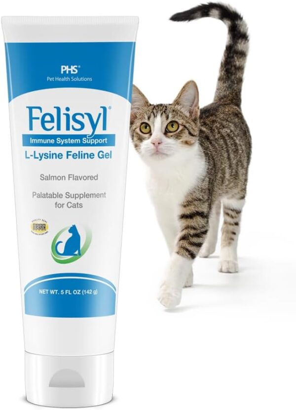 L-Lysine Gel for Cats - Immune System Support - Supplement Support for Healthy Tissue, Respiratory, and Vision - Salmon-Flavored - Made in The USA - 5 oz