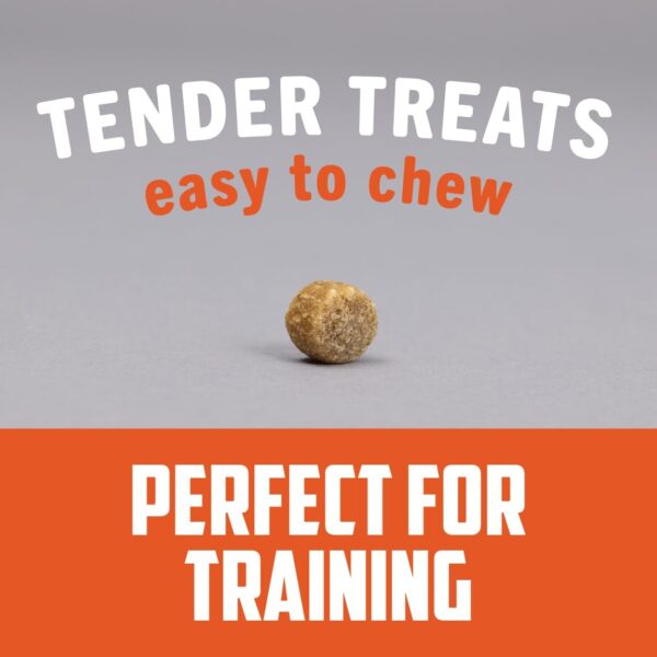 Field Master Perfect Partner Chicken & Brown Rice Recipe Training Dog Treats, 12 oz. - Image 7