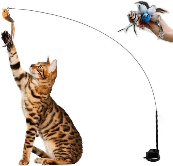 Leo's Paw The Original Interactive Bird Simulation Cat Toy Set Realistic Colorful Feathers Bells Wand Self-holding Suction Base Stimulating Real-Life Flying Bird Impression Hunting Play (w. 5 Birds)