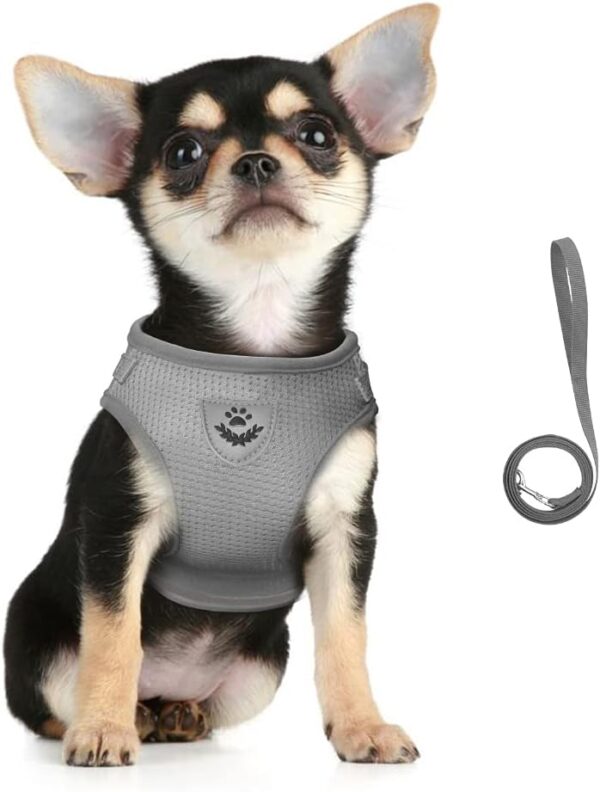 FEimaX Dog Harness and Leash Set for Walking, Soft Mesh Adjustable Easy Control Lightweight Cat Vest Harnesses with Reflective Strips, Escape Proof Small Dogs Cats Vests (Grey, X-Small)