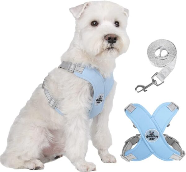 FEimaX Dog Harness Pet X Frame No Pull Step-in Harnesses with Leash Set, Adjustable Reflective Choke Free Puppy with Padded Vest for Small, Medium Dogs and Cats Walking Training