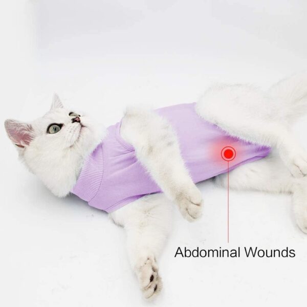 Cat Surgery Recovery Suit Cat Onesie for Cats after Surgery Spay Surgical Abdominal Wound Skin Diseases E-Collar Alternative Wear (Purple-L) - Image 2