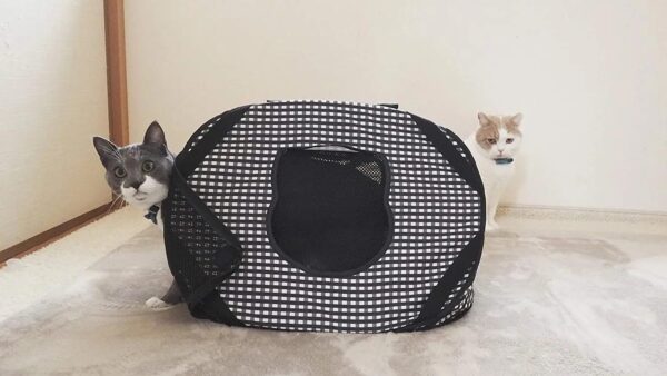 Necoichi Stress-Free Cat Travel Carrier Collapsible Gray White for 2 cats, for indoor cats small medium large cats(Black) - Image 4