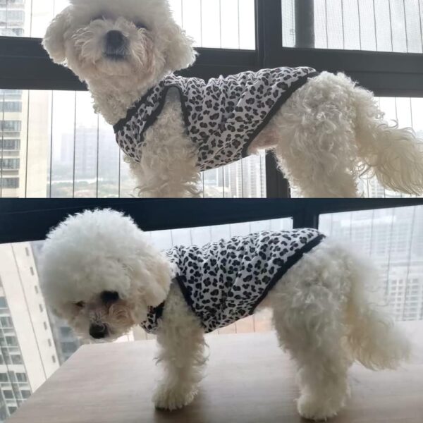 Pet Clothes, Leopard Print T-Shirt Puppy Cat Cotton Vest Clothing Apparel Spring Summer Breathable Sleeveless Harness Costumes for Small Dogs(XS, Black) - Image 2