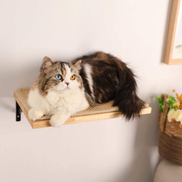 FUKUMARU Cat Wall Shelves, 16 x 10 Inch Cat Wall Furniture with Sisal Mat, Solid Rubber Wood Floating Wall Shelf with Upgraded Installation, Cat Window Perch for Sleeping, Playing and Scratching - Image 8