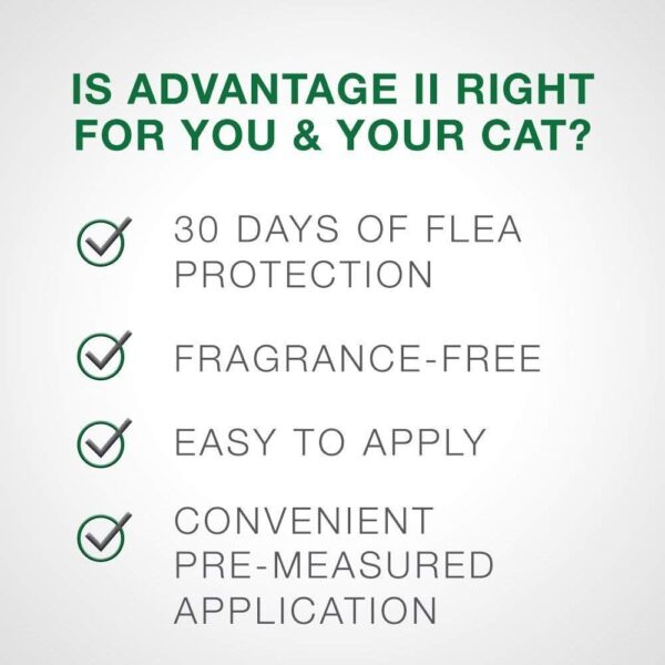 Bayer Advantage II Flea Prevention for Large Cats 6 Doses, 6 Months Supply 2 Pack Bundle - Image 6